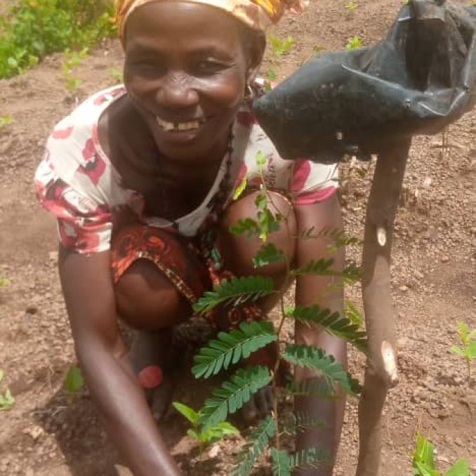 Eine lächelnde afrikanische Frau pflanzt einen Baum