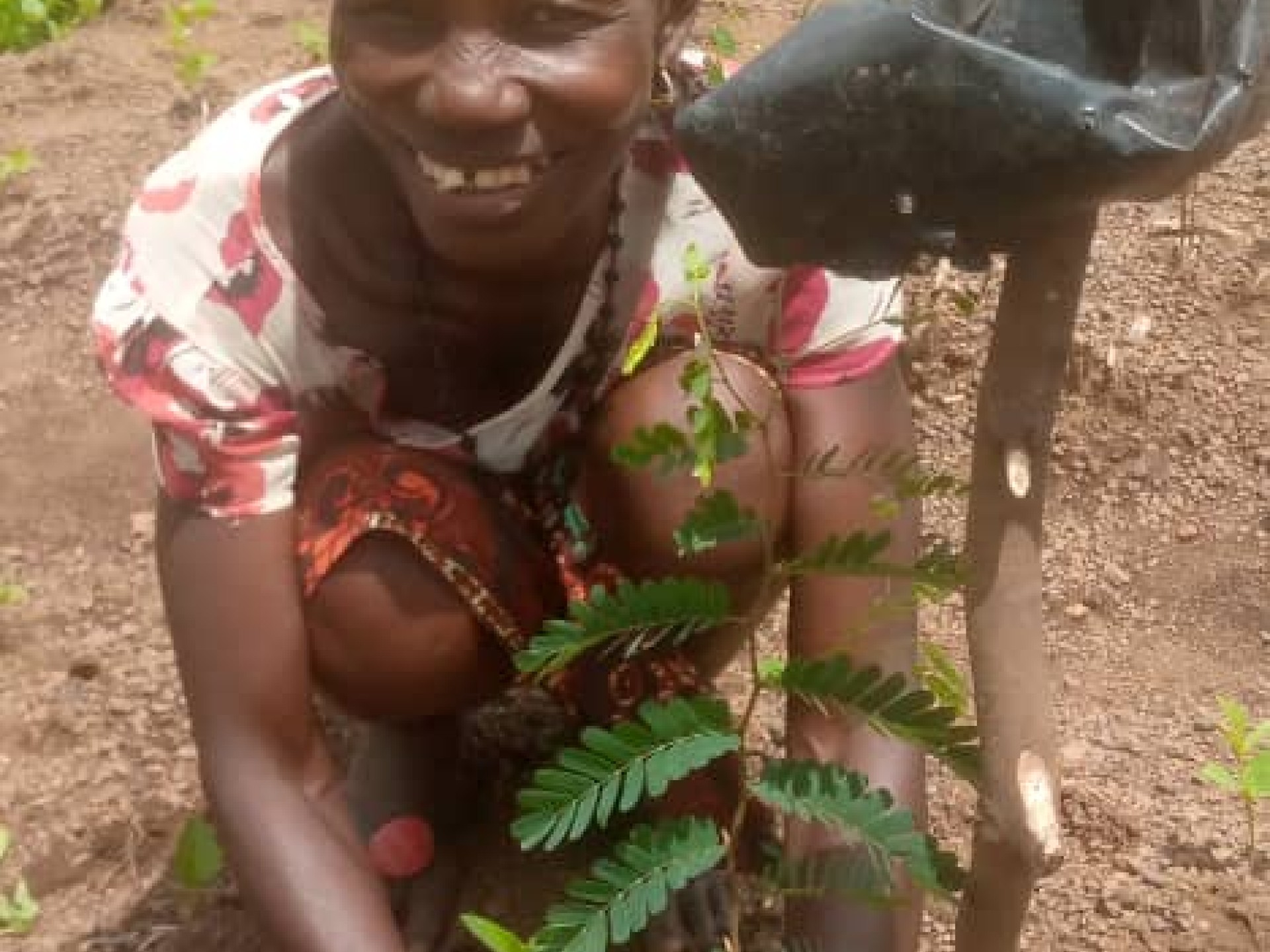 Eine lächelnde afrikanische Frau pflanzt einen Baum