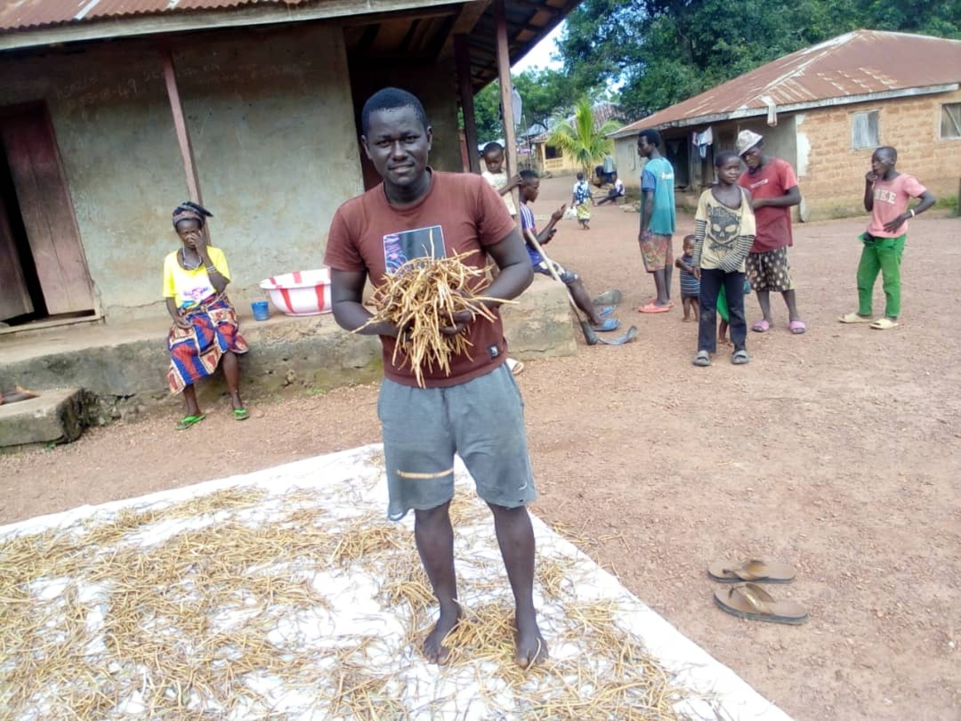 Ein afrikanischer Mann zeigt die aktuelle Ernte