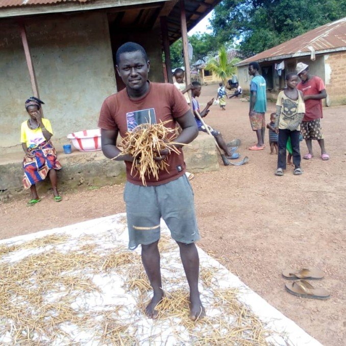 Ein afrikanischer Mann zeigt die aktuelle Ernte
