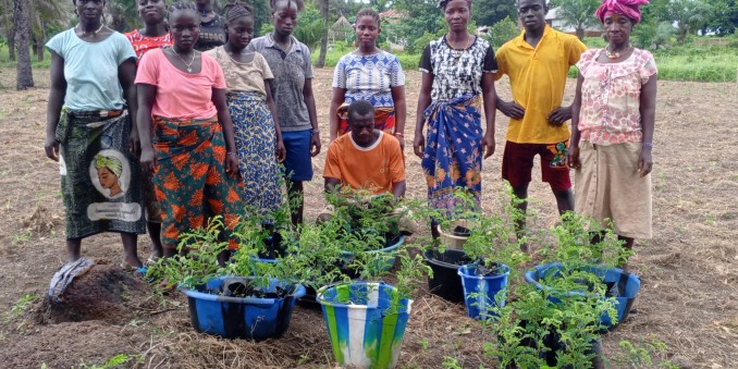 Stolze Bewohner des Impact Villages zeigen die neuen Pflanzen, die sie einpflanzen werden.