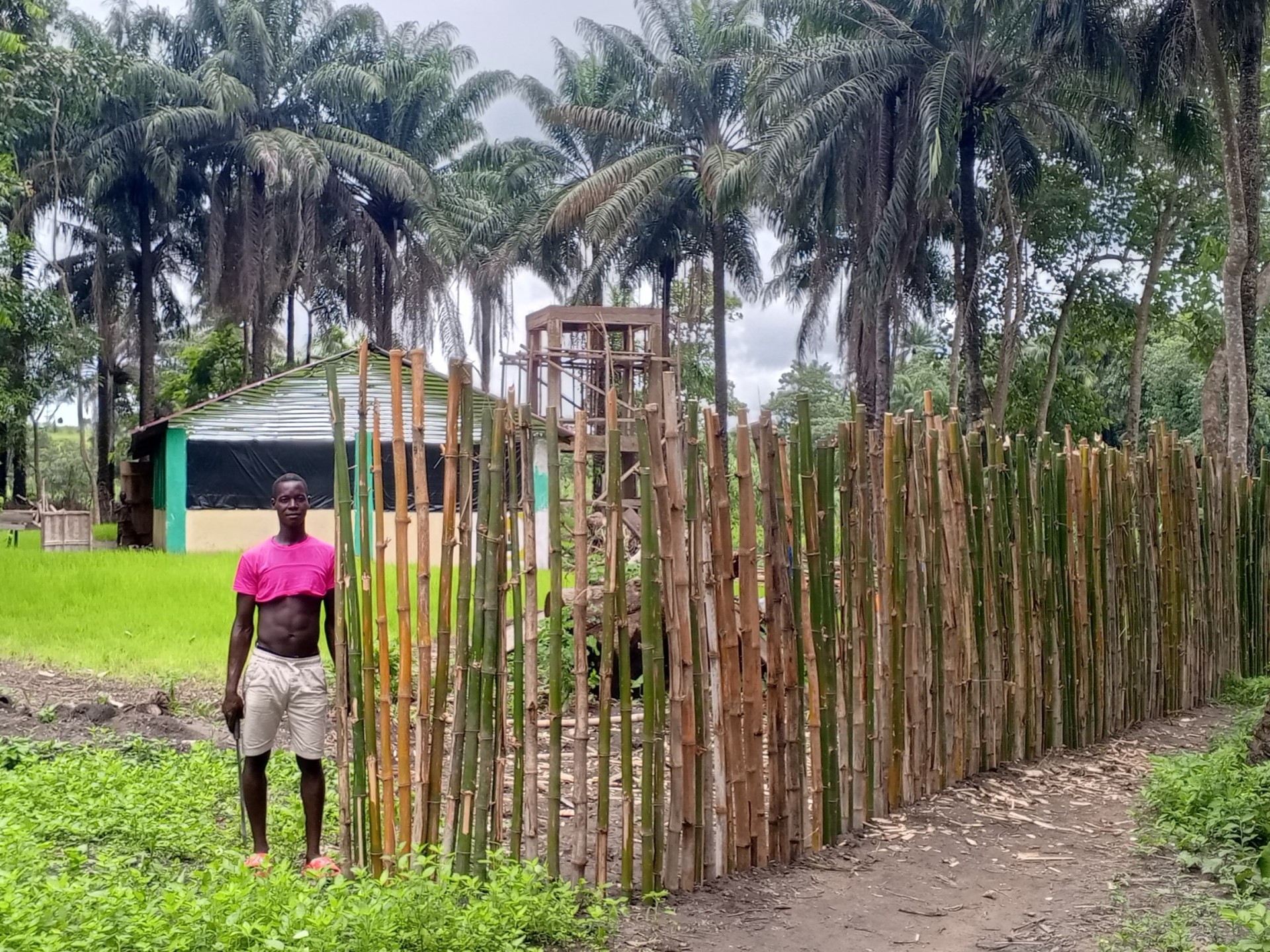 Ein afrikanischer Mann steht neben einem neu gebauten Holzzaun