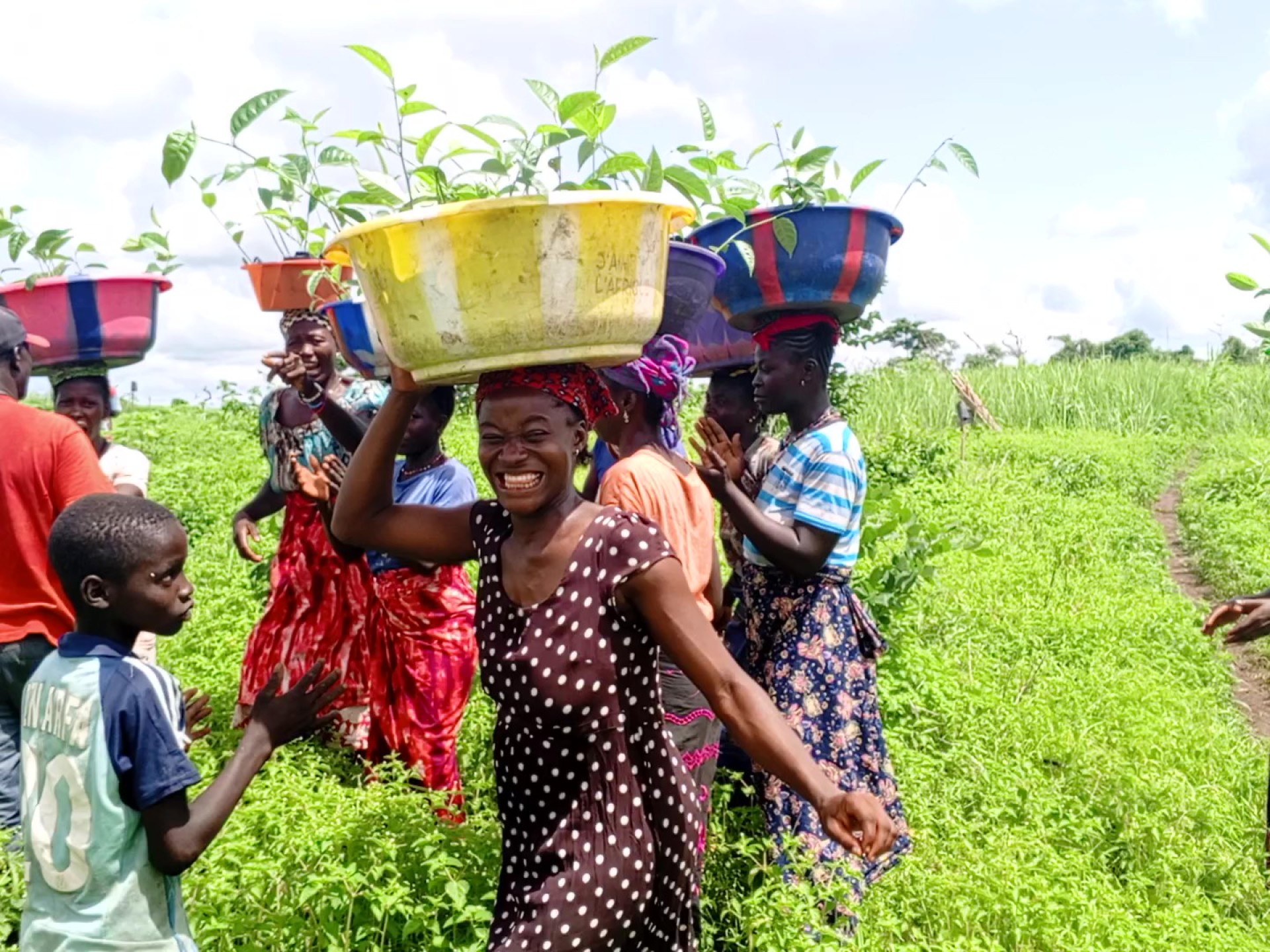 Afrikanische Frauen stehen in einem Feld und tragen Körbe auf ihrem Kopf