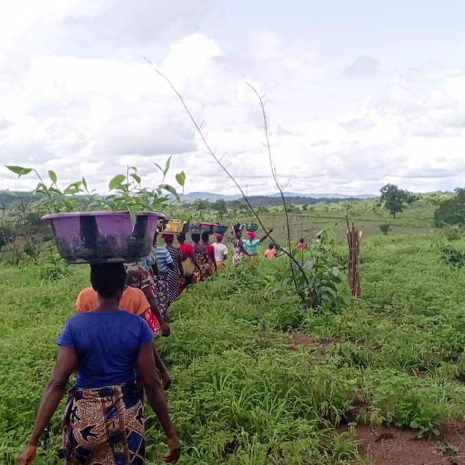 Eine Gruppe von Afrikanerinnen gehen über ein Feld. Sie tragen die Ernte vom Tag in Körben auf ihren Kopf