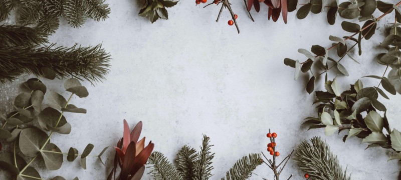 Eukalyptus und Tannenäaste sind wie ein Rahmen angeordnet