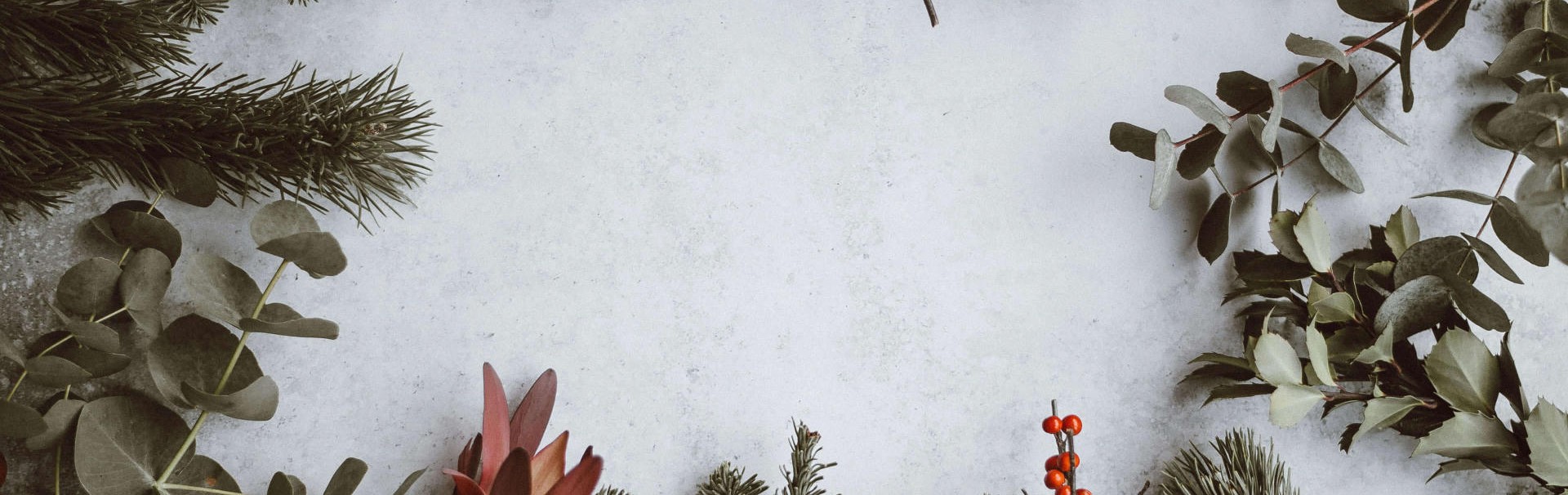 Eukalyptus und Tannenäaste sind wie ein Rahmen angeordnet