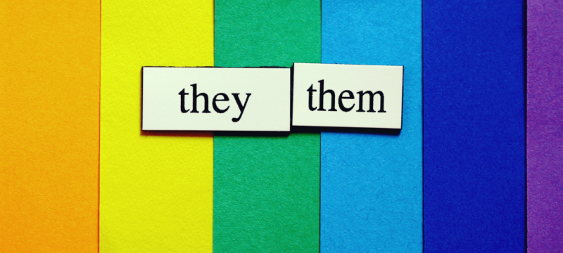 Vor den senkrecht angeordneten bunten Streifen der Regenbogenflagge sind zwei weiße Rechtecke zu sehen. Auf ihnen stehen in Druckschrift die Wörter they und them.