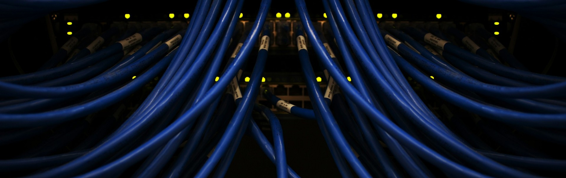 Mehrere blaue Netzwerkkabel, die in einen Server oder Switch eingesteckt sind