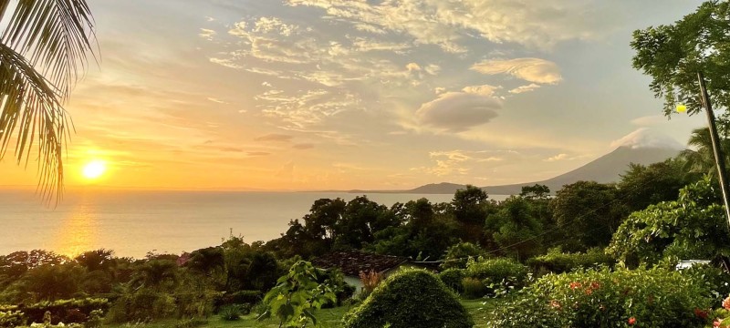 Dschungel Bild mit Blick auf das Meer