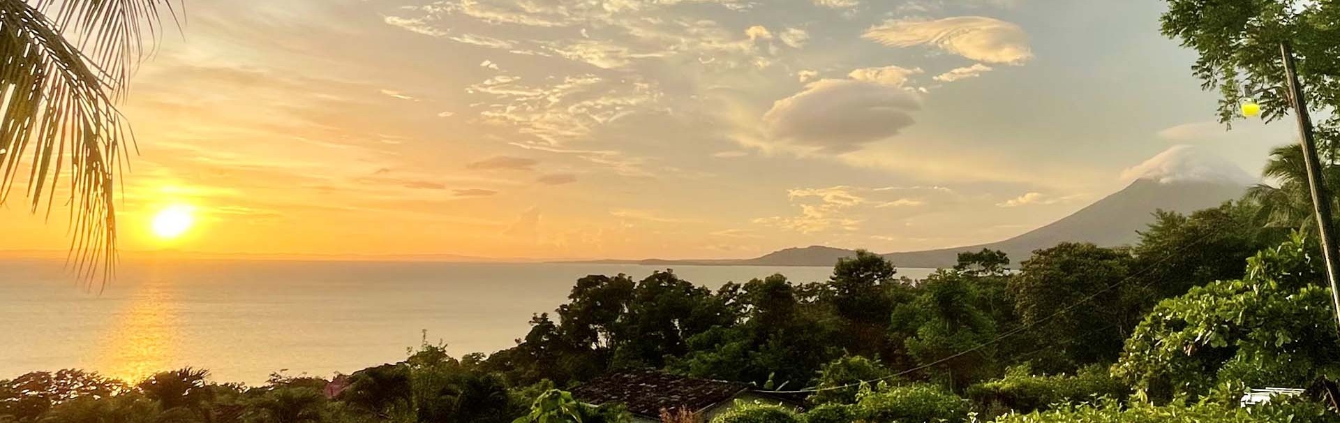 Dschungel Bild mit Blick auf das Meer