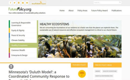 Desktop-Screenshot Webdesign für future-policy.org von SCHOKOLADENSEITE.net