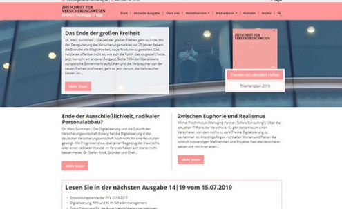 Desktop-Screenshot Webdesign für ZFV von SCHOKOLADENSEITE.net
