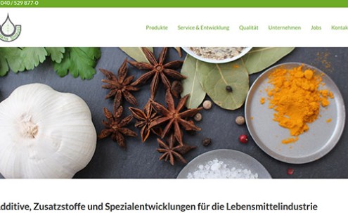 Desktop-Screenshot Webdesign für extrakta von SCHOKOLADENSEITE.net