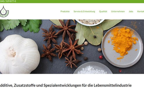 Desktop-Screenshot Webdesign für extrakta von SCHOKOLADENSEITE.net