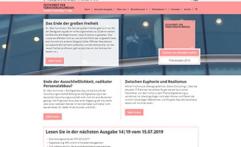 Desktop-Screenshot Webdesign für ZFV von SCHOKOLADENSEITE.net